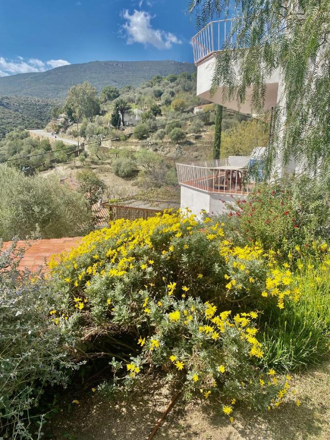 Ses Terrasses Apartment Cadaques Exterior photo